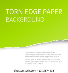 Torn edge paper colorful background. Page or card vector template.