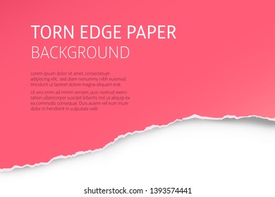 Torn edge paper colorful background. Page or card vector template.