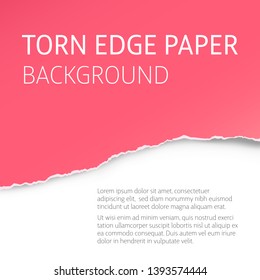 Torn edge paper colorful background. Page or card vector template.