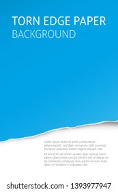 Torn edge paper colorful background. Page or card vector template.