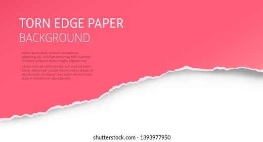 Torn edge paper colorful background. Page or card vector template.