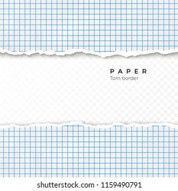 Torn Edge of Squared Paper. Torn Piece of Squared Paper from Notebook. Blank Page Isolated on Transparent Background. Vector illustration  