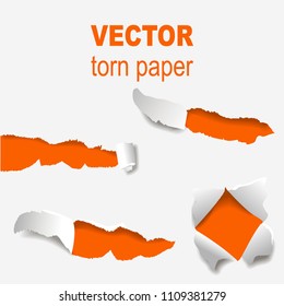 Torn edges paper hole lacerated ragged edge and crack realistic 3d style vector illustration concept grunge page template.