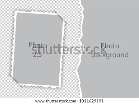 Torn edges paper photoframe modern template collage. Vector illustration