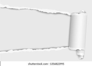 Torn elongated hole from left to right in white paper with paper curl and soft shadow. Vector template design. Paper mockup.