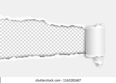 Torn elongated hole in white sheet with wrapped paper tear and transparent background of resulting window. Vector template paper design.