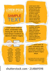 Torn Flyer Template with clipping mask