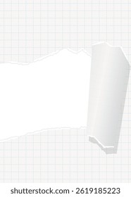 Quadro de fundo de papel de gráfico rasgado, grade, notebook, vertical