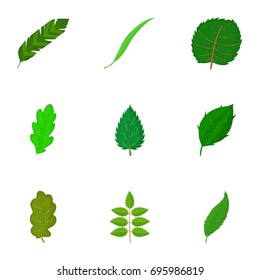 Torn green leaf icons set. Cartoon set of 9 torn green leaf vector icons for web isolated on white background
