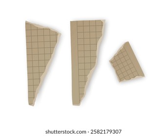 Torn Grid Notebook Paper Scraps, Vector illustration 