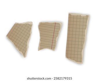 Torn Grid Notebook Paper Scraps, Vector illustration 