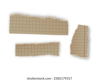 Torn Grid Notebook Paper Scraps, Vector illustration 