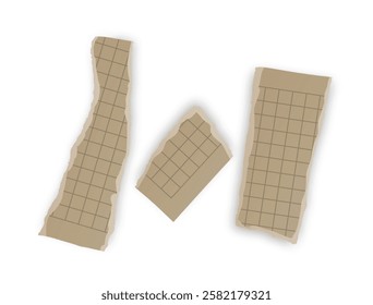 Torn Grid Notebook Paper Scraps, Vector illustration 