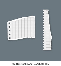 Fragmento de papel de rejilla rota con margen perforado