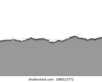Torn a half sheet of white paper from the bottom and dark gray background under it. Vector template paper design.