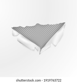 Torn hole on paper in realistic style with transparent background. Vector illustration.