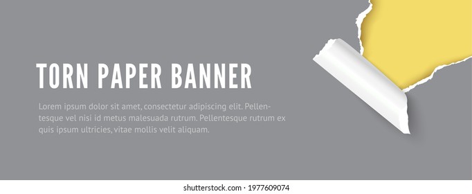 Torn hole paper banner with space for text. Realistic 3D vector paper ripped edges banner template