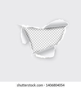 Torn hole in paper on transparent background. Vector illustration.