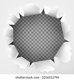 Torn hole and ripped of paper on a transparent background. And also includes EPS 10 vector