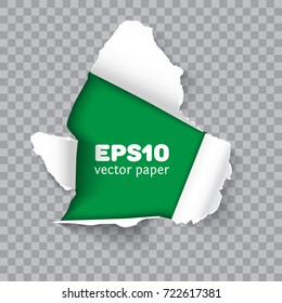 Torn hole in the sheet of paper on a transparent background with space for text