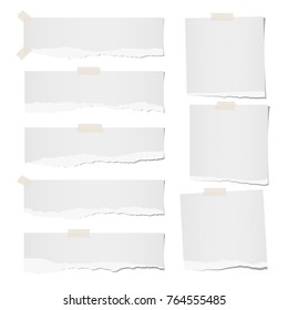 Torn horizontal, note, notebook, copybook paper strips, sheets for text or message stuck with sticky tape on white background.