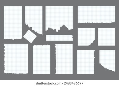 Torn lined paper scrap with ragged edges set. Ripped pieces, memo sheets or notebook shred. Checkered sheet of paper. Vector template for social media, banner, poster 