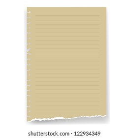 torn lined parchment paper page