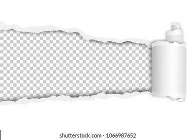 Torn long hole in sheet of transparent paper with shadow and wrapped paper curl. Vector template paper design.