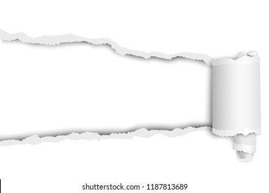 Torn long hole in sheet of white paper with wrapped paper tear. Vector paper mock up.