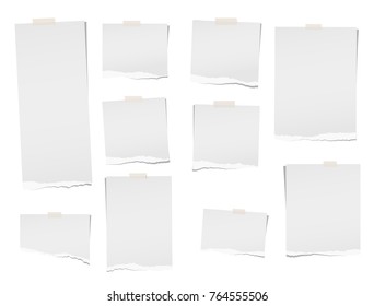 Torn, note, notebook, copybook paper sheets for text or message stuck with sticky tape on white background.