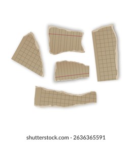 Piezas de papel de cuaderno rasgadas Ilustración vectorial