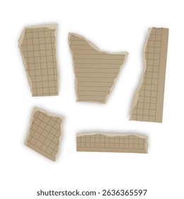 Torn Notebook Paper Pieces Vector illustration