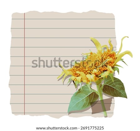 Torn notebook paper with sunflower and  adhesive tape. Cut sheet for collage
