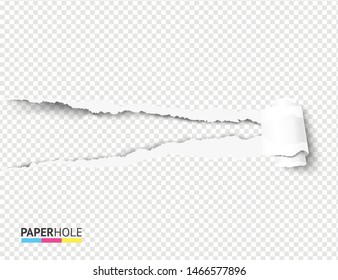 Torn off paper scroll and rip hole blank concept. Vector illustration