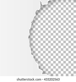 Torn open paper with transparent space for text