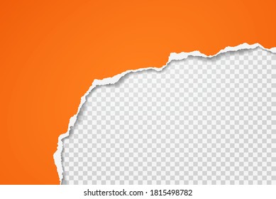 Torn of orange paper is on white transparent background for text, advertising or design. Vector illustration