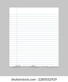 Torn pages of notebook paper lined