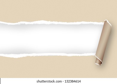 torn paper abstract background to place your text