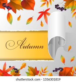 Torn paper, autumn leaves and text Autumn