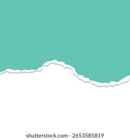 Torn paper background with fresh green color, isolated on square transparent background