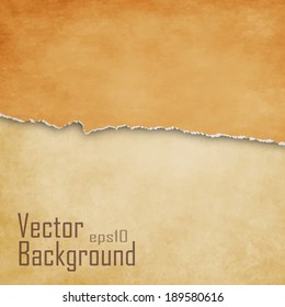 Torn paper background with space for text - vector