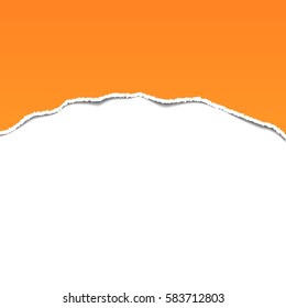 Torn paper. Background vector illustration