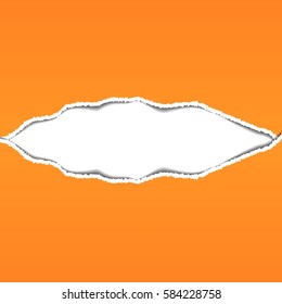 Torn paper. Background vector illustration