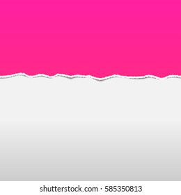 Torn paper. Background vector illustration