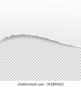 Torn paper banner on the transparent background. Vector illustration EPS10