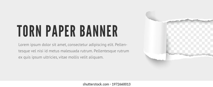 Torn paper banner. Template of paper horizontal strip with torn hole ripped edges and space for text. Realistic vector paper texture effect