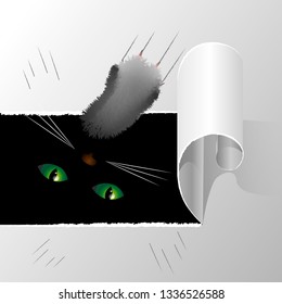 Torn paper. cat paw and eyes in the dark