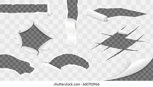 Torn paper collection. Realistic Vector illustration set