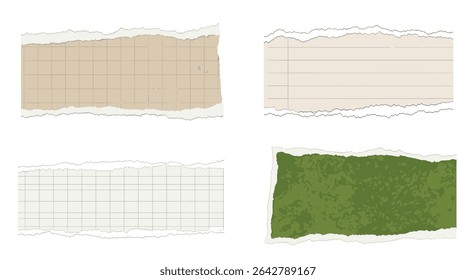 Coleção de papel rasgado Variedade de borda de papel de textura isolada no fundo branco Design Resource