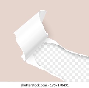 Paper Corner Reveal Images Stock Photos Vectors Shutterstock